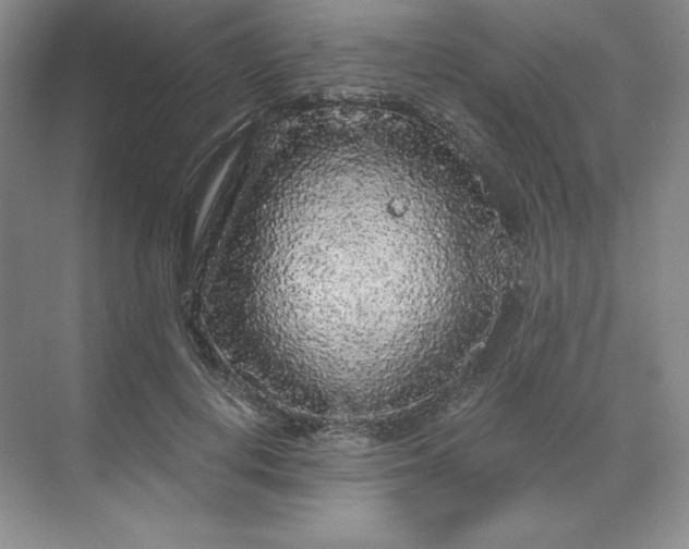 X0000068810648200605191808