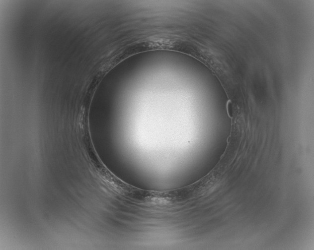 X0000068810649200605191808