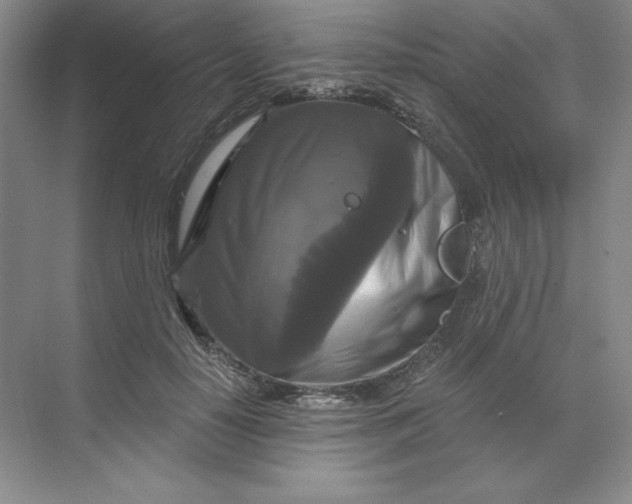 X0000068810650200605191808