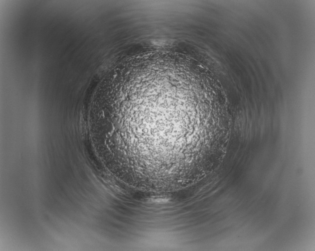 X0000068810651200605191808