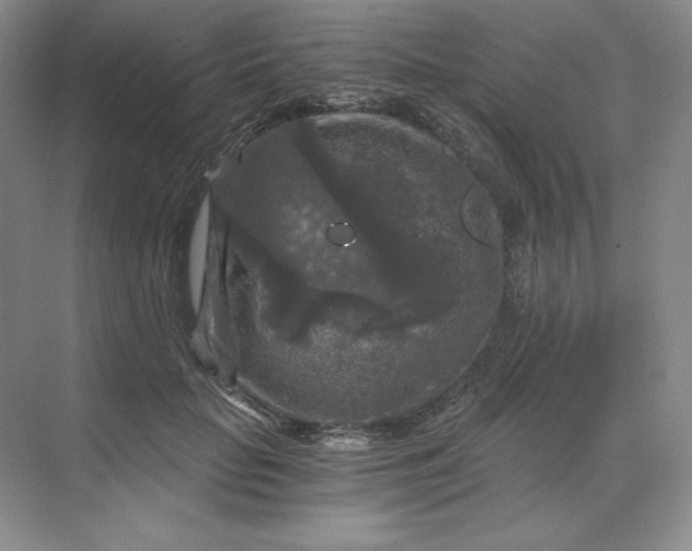 X0000068810653200605191808