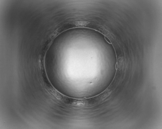 X0000068810655200605191808