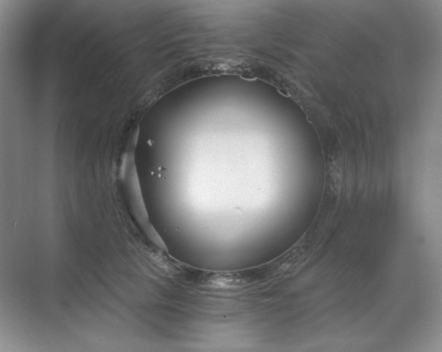 X0000068810657200605191808
