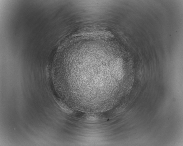 X0000068810658200605191808