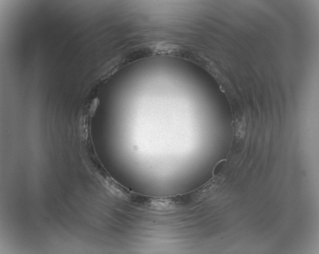 X0000068810666200605191808