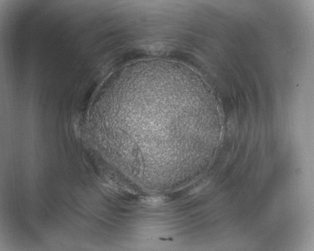 X0000068810671200605191808