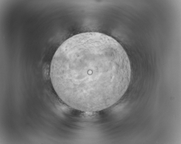 X0000068810672200605191808