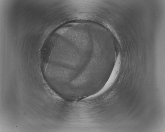 X0000068810673200605191808