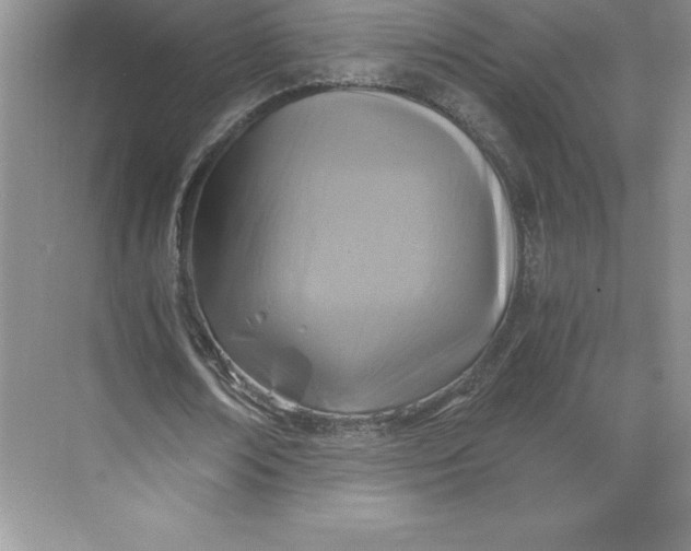 X0000068810674200605191808