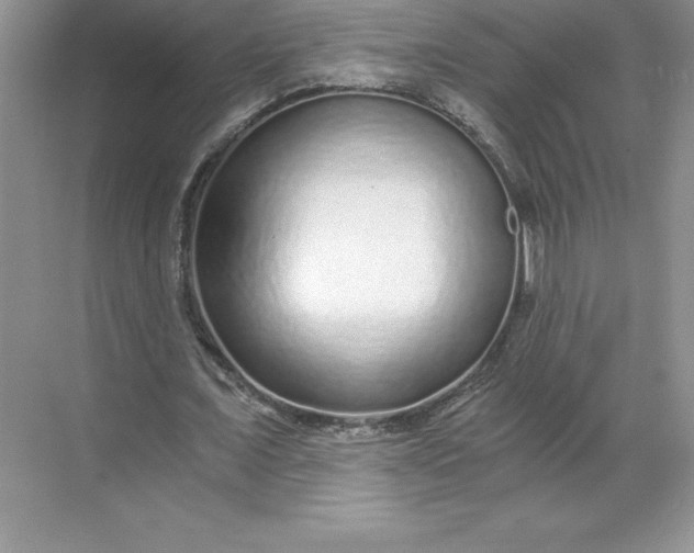 X0000068810675200605191808