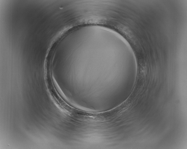 X0000068810678200605191808