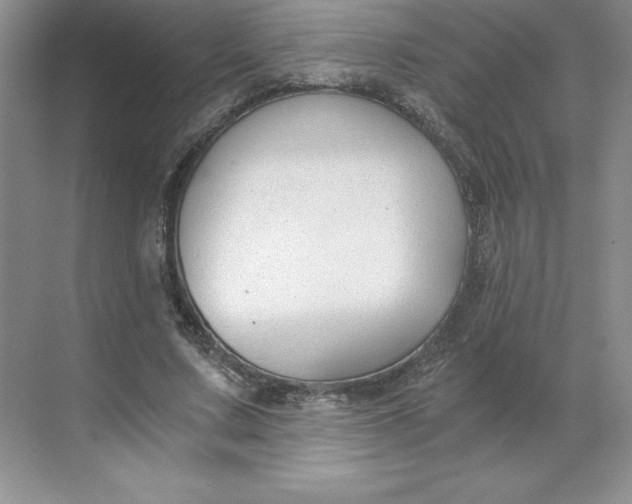X0000068810683200605191807