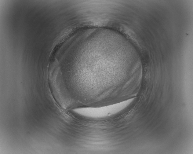 X0000068810685200605191807