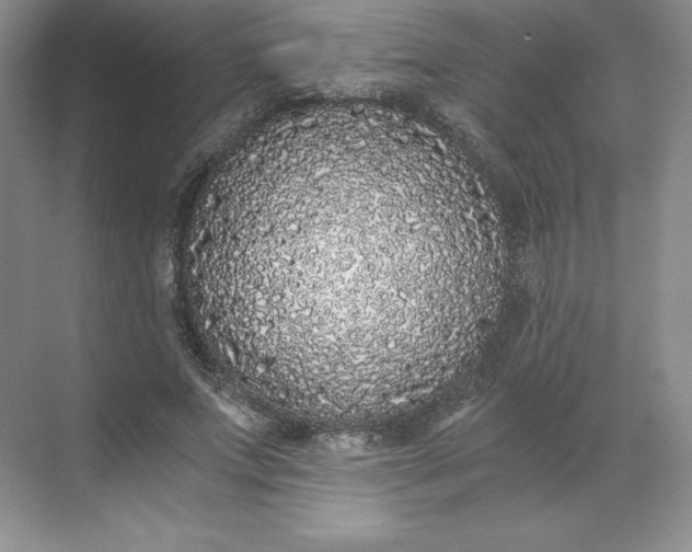 X0000068810687200605191807