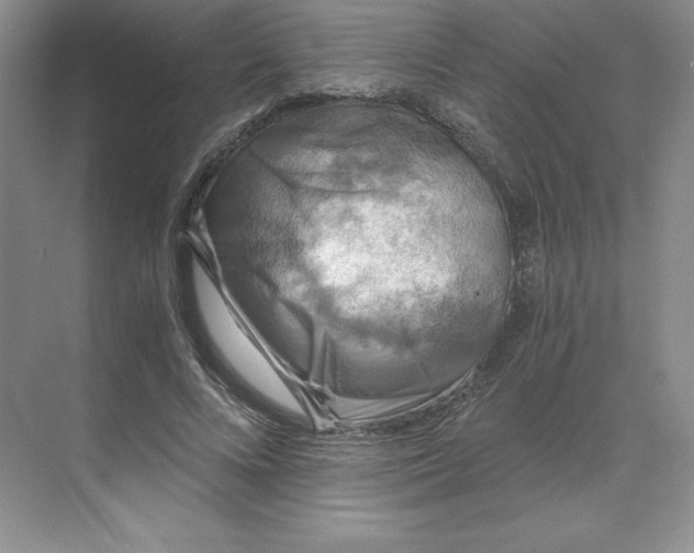 X0000068810688200605191807