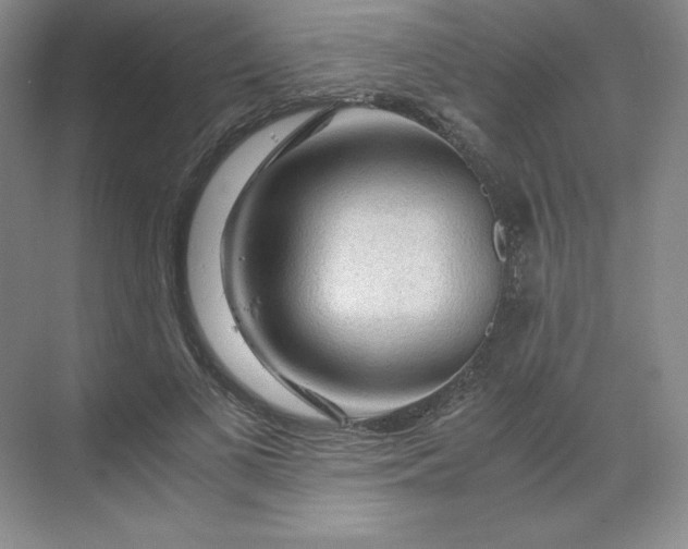 X0000068810693200605191807