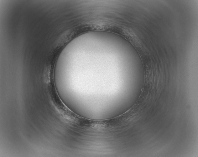 X0000068810694200605191807
