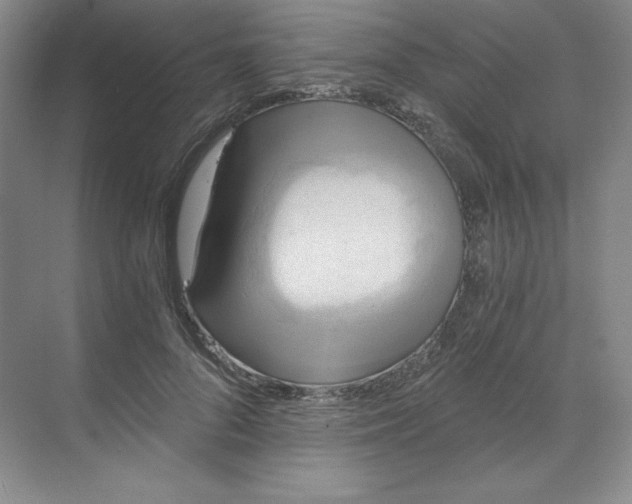 X0000068810696200605191807