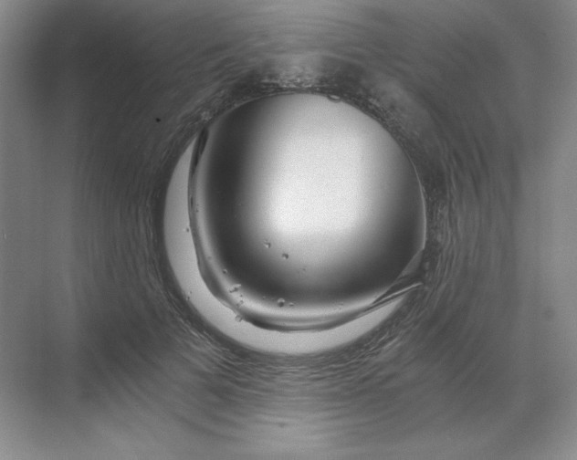 X0000068810697200605191807