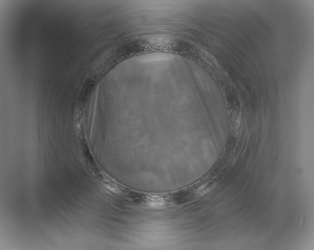 X0000068810701200605191807