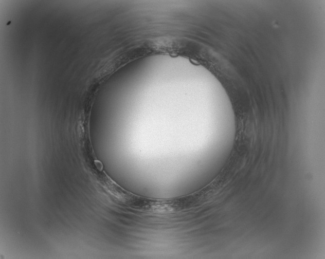 X0000068810702200605191807