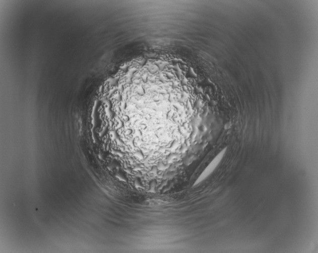 X0000068810703200605191807