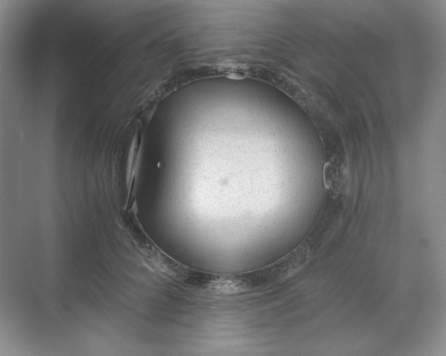 X0000068810704200605191807