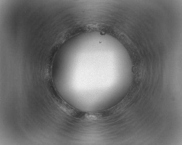X0000068810706200605191807