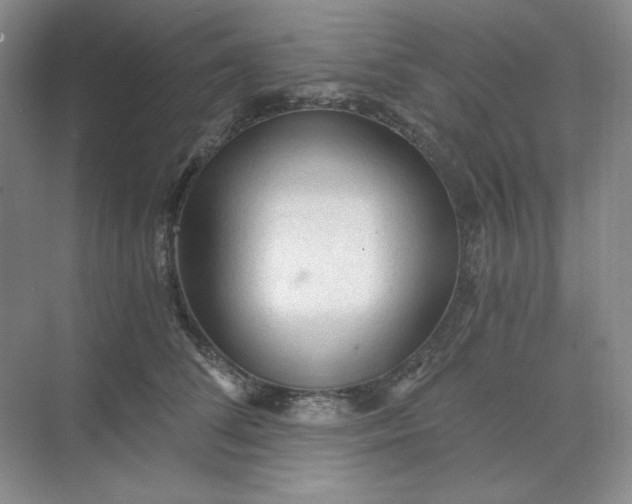 X0000068810708200605191807