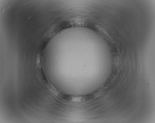 X0000068810709200605191807