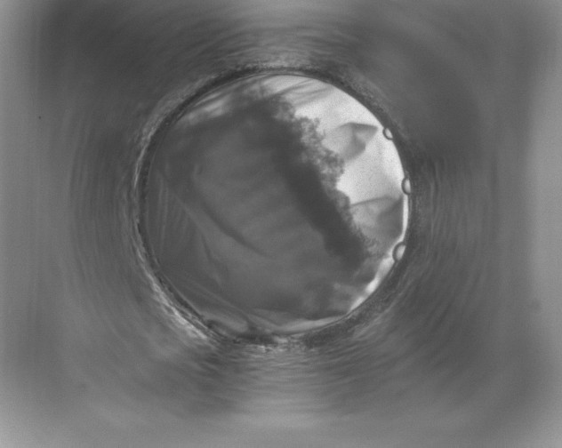 X0000068810721200605191806