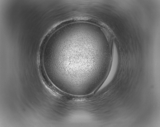 X0000068810726200605191806