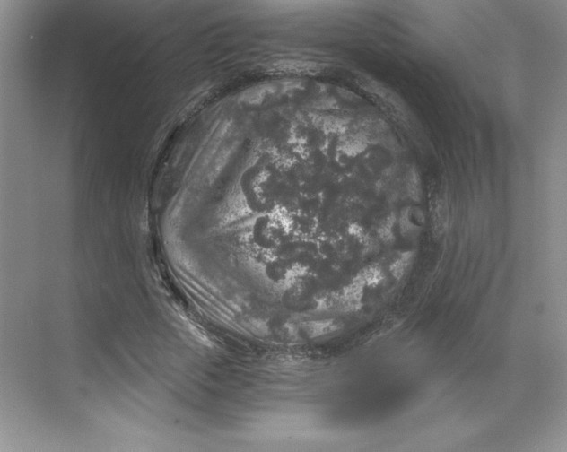 X0000068810729200605191806