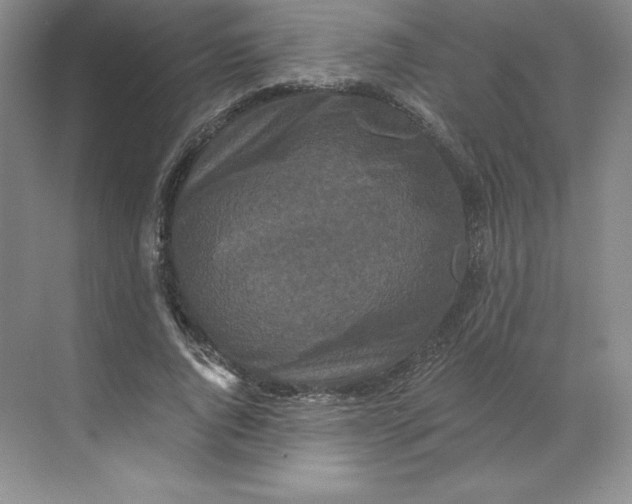 X0000068810736200605191806