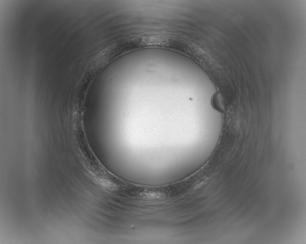 X0000068810741200605191806