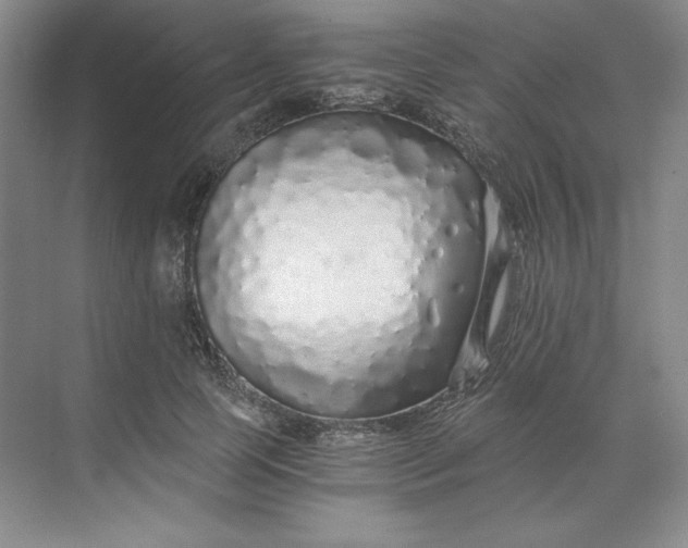 X0000068810745200605191806