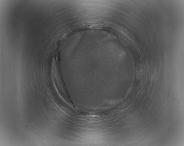 X0000068810748200605191806
