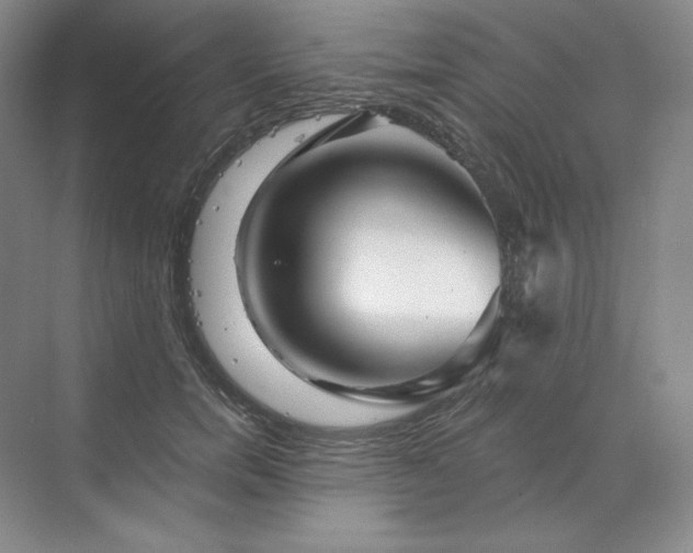 X0000068810750200605191807