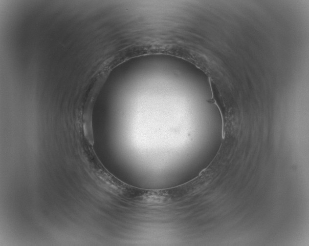 X0000068810756200605191807