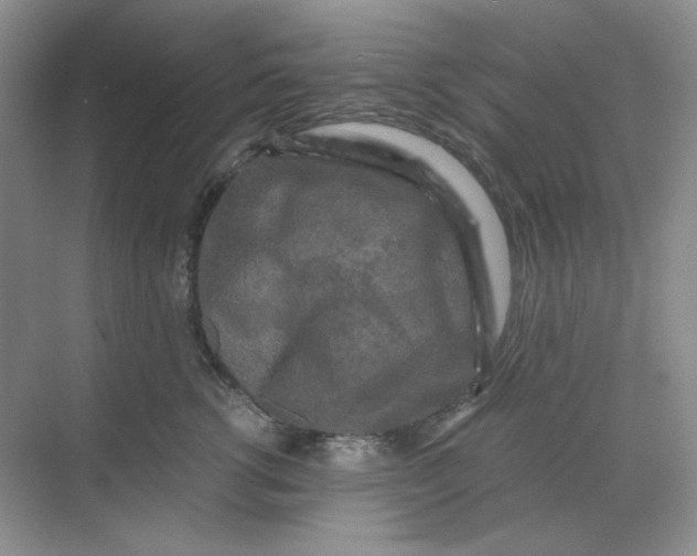 X0000068810762200605191807