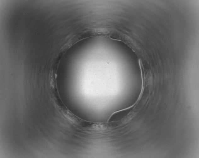 X0000068810764200605191807