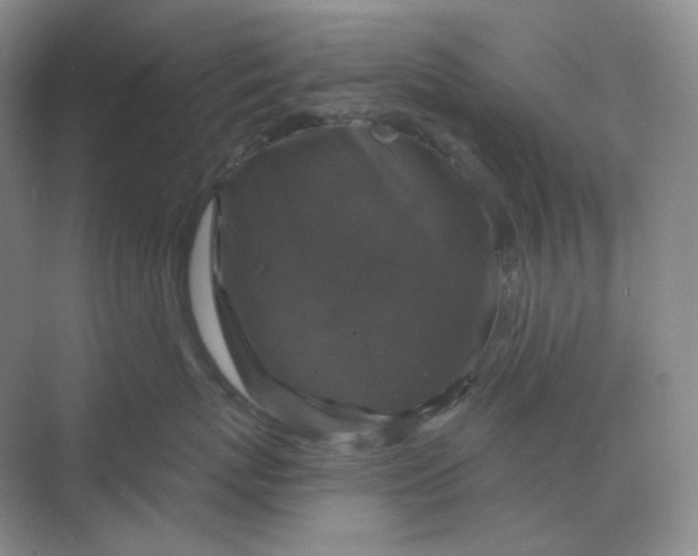 X0000068810767200605191807