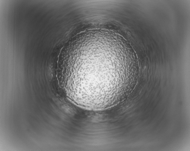 X0000068810772200605191806