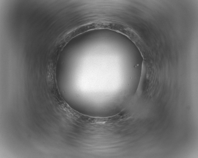 X0000068810773200605191806