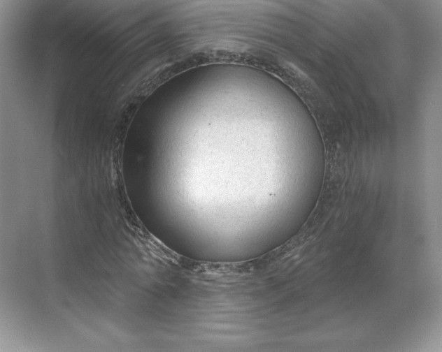 X0000068810774200605191806