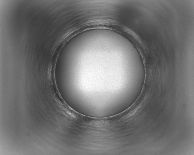 X0000068810778200605191806