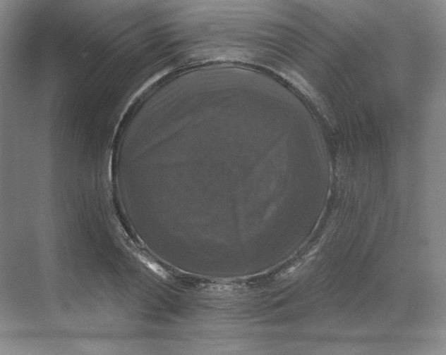X0000068810790200605191806
