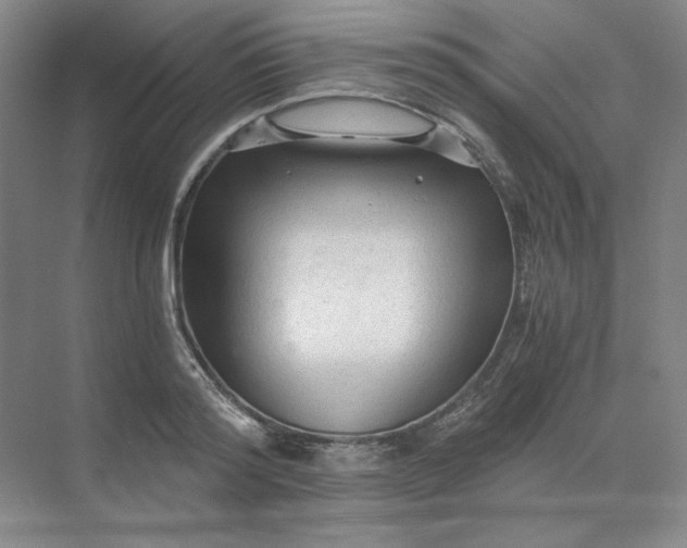 X0000068810796200605191806
