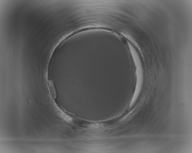 X0000068810797200605191806