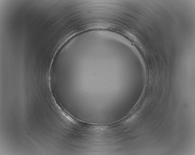 X0000068810802200605191805